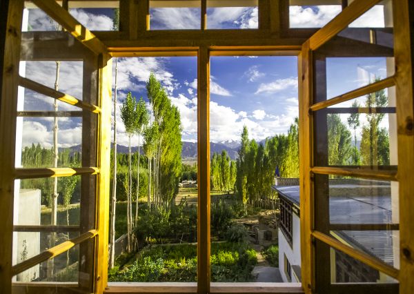 Wood Window Replacement in Kyle